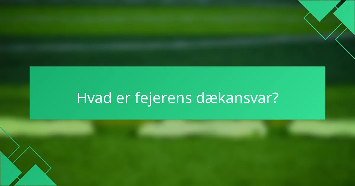 Hvad er fejerens dækansvar?