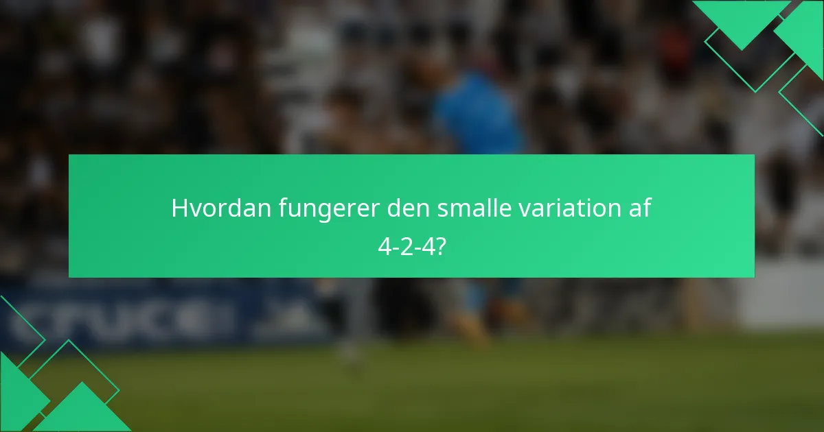 Hvordan fungerer den smalle variation af 4-2-4?